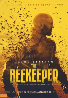 watch the beekeeper with viking iptv